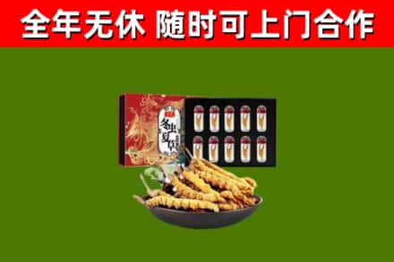 西和县回收冬虫夏草价格