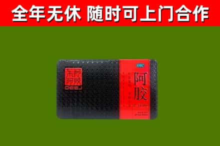 西和县回收阿胶