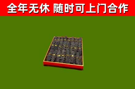 西和县回收海参